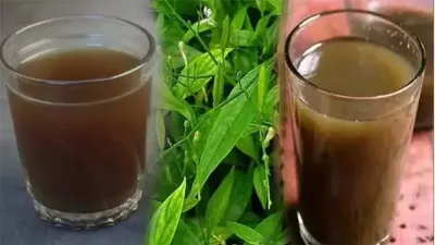 டெங்கு, வைரஸ் காய்ச்சல் தடுப்புக்கு நிலவேம்பு குடிநீர்! 40,475 கிலோ சூரணம் தயார்!