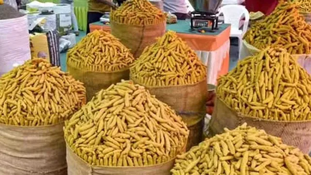 மஞ்சள் விலை கிடுகிடு உயர்வு! 2 வாரங்களில் குவிண்டாலுக்கு ரூ.2,800 அதிகரிப்பு!