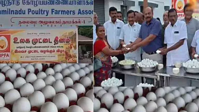 நாமக்கல்லில் 10,000 வேகவைத்த முட்டைகள் இலவச விநியோகம்!