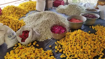 ஆயுத பூஜை, சரஸ்வதி பூஜையால் பூக்கள் விலை கிடுகிடு உயர்வு – மதுரை மல்லிகை கிலோ ரூ.1,800!