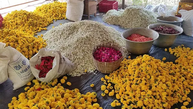 ஆயுத பூஜை, சரஸ்வதி பூஜையால் பூக்கள் விலை கிடுகிடு உயர்வு – மதுரை மல்லிகை கிலோ ரூ.1,800!