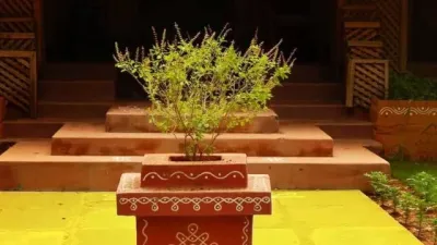 துளசி செடிக்கு அருகில் இந்தச் செடிகளை வைக்கலாமா? வாஸ்து கூறுவது என்ன?