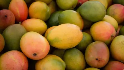 மாம்பழங்கள் சீக்கிரம் அழுகாமல் இருக்க இந்த முறைகளைப் பின்பற்றுங்கள்!