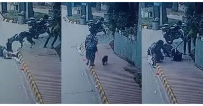 நொய்டாவில் பெண்ணையும் செல்ல நாயையும் தாக்கிய ராட்சத நாய்! சிகிச்சையில் பக் நாய் உயிரிழப்பு!