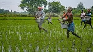 டெல்டா விவசாயிகளுக்கு நம்பிக்கை: வடகிழக்குப் பருவமழை 20% அதிகரிக்கும் என கணிப்பு!