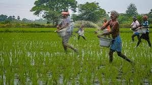 டெல்டா விவசாயிகளுக்கு நம்பிக்கை: வடகிழக்குப் பருவமழை 20% அதிகரிக்கும் என கணிப்பு!