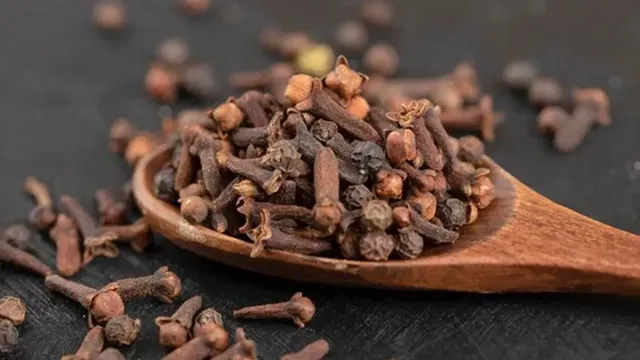 தினமும் ஒரு கிராம்பு சாப்பிடுவதால் என்னென்ன நன்மைகள் கிடைக்கும்?