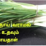 சர்க்கரை நோய் முதல் இதய நோய் வரை குணப்படுத்தும் வெங்காயதாள்..!!