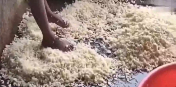 உஷார் : நீங்கள் இஞ்சி பூண்டு பேஸ்ட்டை கடையில் வாங்குபவரா..!!