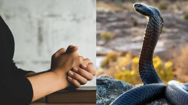 பிரார்த்தனை செய்த போது பாம்பு கடித்ததில் உயிரிழந்த பெண்..!!