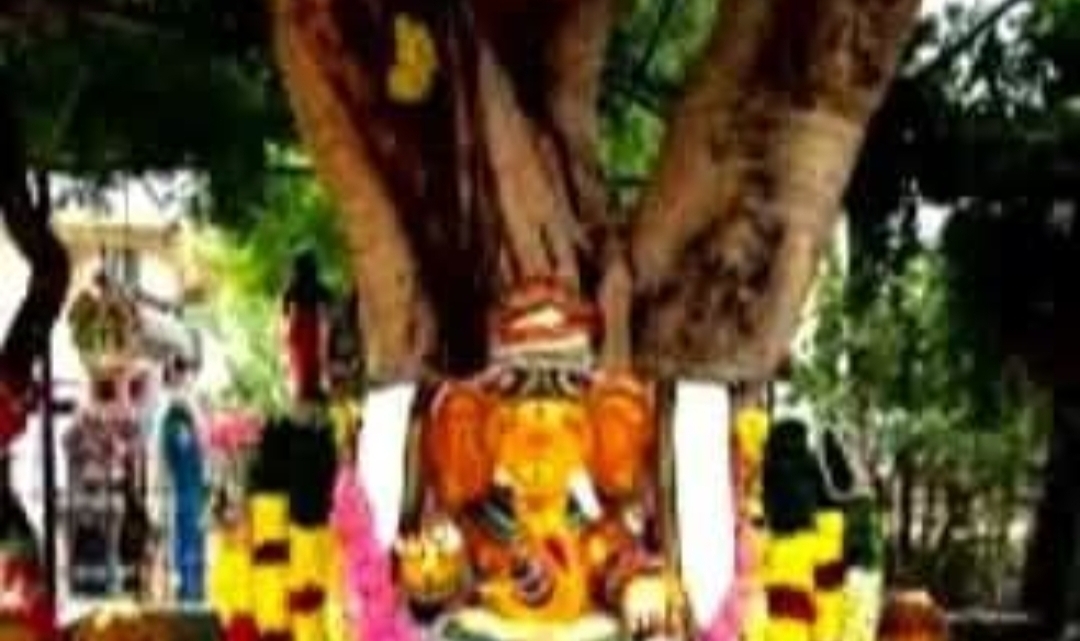மரத்தின் அடியில் ஏன் தெய்வங்களை வைத்தனர்..??
