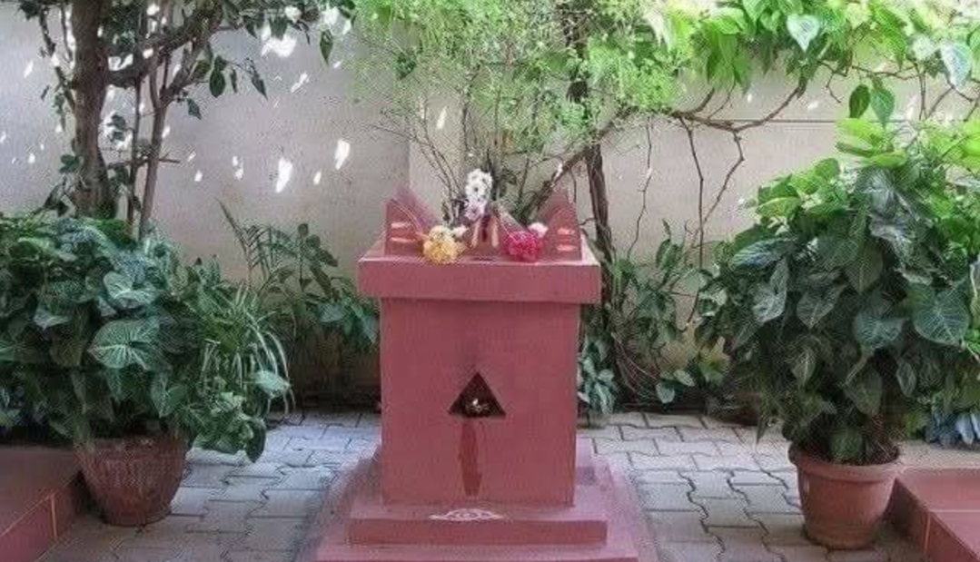 துளசியை வணங்குவதால் என்னென்ன பயன்கள் கிடைக்கும் தெரியுமா..??