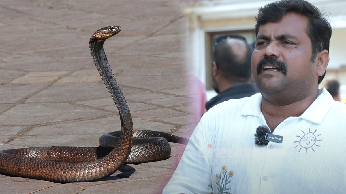 VIDEO: டாய்லெட்டில் பாம்பு.. நடுங்கி போன நடிகர் காளி வெங்கட்..!!