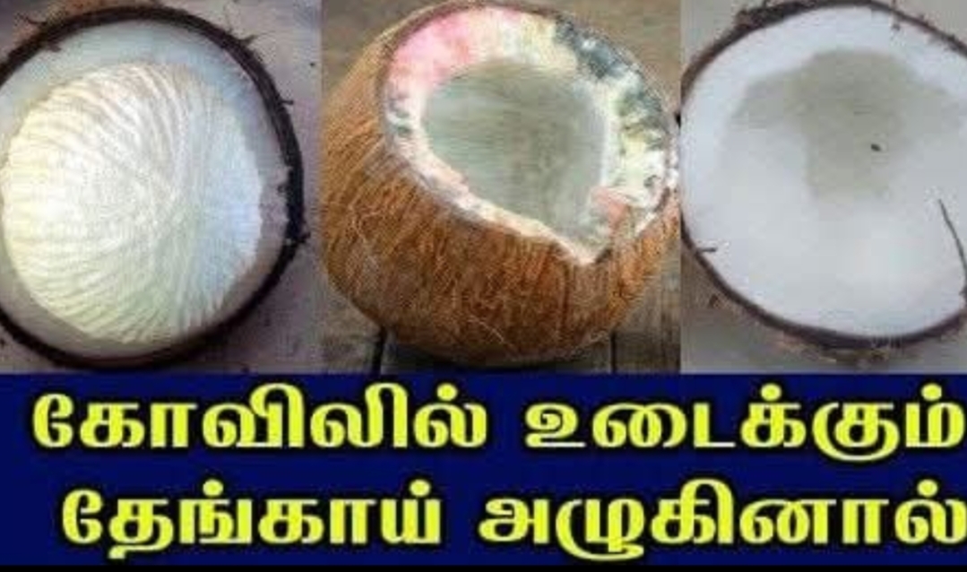 அழுகிய தேங்காய், கொப்பரை தேங்காய், தேங்காய் பூ ஆகியன அபசகுனமா..??