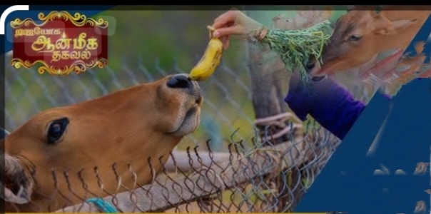 பதவி மற்றும் சம்பள உயர்வு கிடைக்க எளிய பரிகாரம் இதுதான்..!!