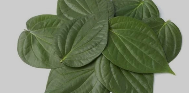 வெற்றிலை மாலை சாற்றுவதால் கடன் பிரச்சனை தீரும்..!!