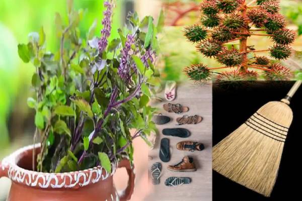 துளசி செடியின் அருகில் தவறியும் இதையெல்லாம் வைக்காதீர்கள்.. துர்திஷ்டம் ஏற்படுமாம்..!!