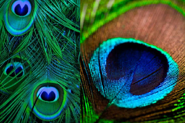 வீட்டில் இருக்கும் எதிர்மறையான ஆற்றலை விரட்ட இந்த ஒரு பொருள் போதும்..!!