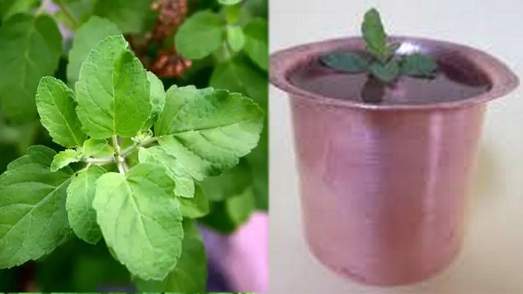 துளசி சாற்றை கொண்டு குணமாக்கும் 20 வகையான வியாதிகள்..!! தெரிஞ்சிக்கோங்க..!!