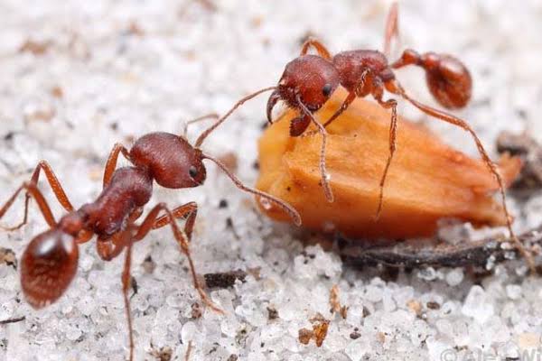 நம் வாழ்க்கையில் உள்ள கஷ்டங்கள் தீர.. இரவில் தூங்குவதற்கு முன்பு இதை மட்டும் செய்தால் போதும்..!!