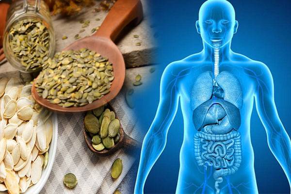 தினமும் கொஞ்சம் பூசணி விதைகள் சாப்பட்டால் இந்த பிரச்சினைகள் வரவே வராது..!!