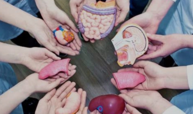 நமது உடலின் உள்ளுறுப்புகள் என்ன சொல்கிறது தெரியுமா..??