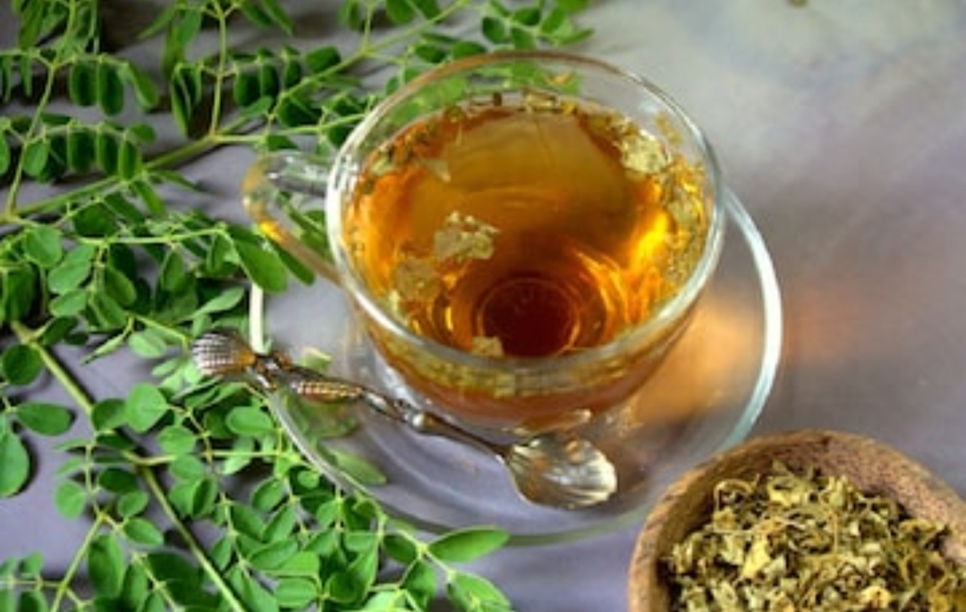 மாரடைப்பிலிருந்து நம்மை பாதுகாக்கும் முருங்கை இலை டீ..!! அனைவரும் இந்த பதிவை படிக்கவும்..!!