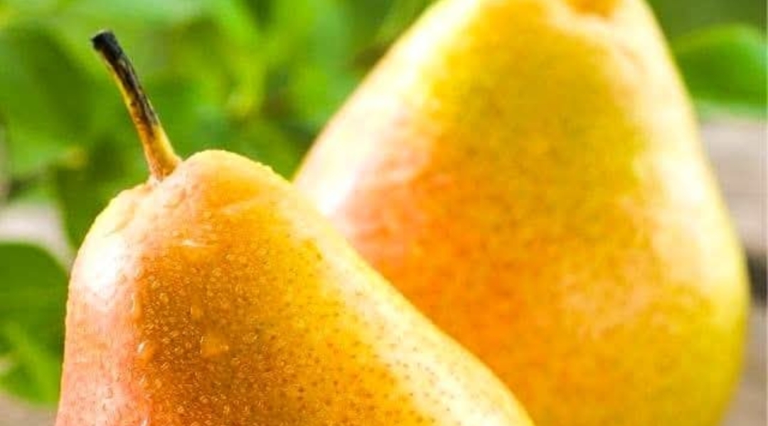 சிறுநீரக கோளாறுகளை சீர்செய்யும் பேரிக்காய்..!!