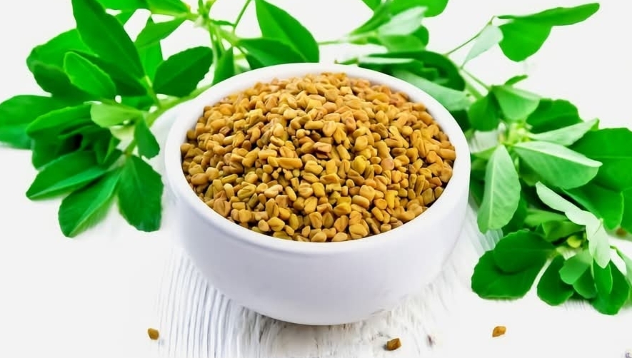 வெந்தயம் சாப்பிடுங்க..!! சர்க்கரை நோய்க்கு குட் பை சொல்லுங்க..!!