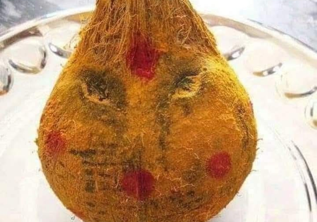 தேங்காய் சகுனம்..!! கண்டிப்பா தெரிஞ்சுக்கோங்க மக்களே..!!