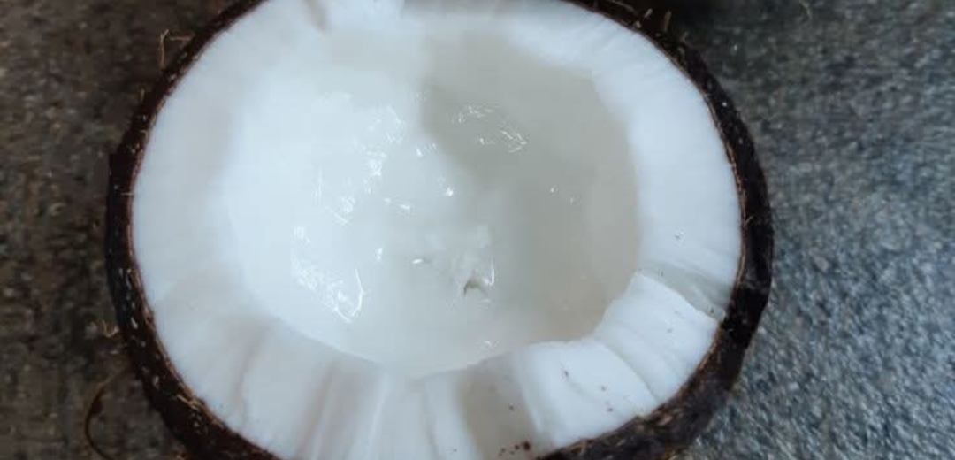 தேங்காய் மருத்துவத்தின் அடையாளச் சின்னம் என்கிறது சித்த மருத்துவம்..!!