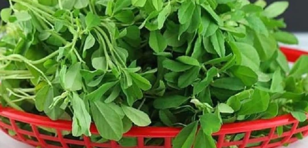 வெப்பம் தணிக்கும் வெந்தயக்கீரை..!!