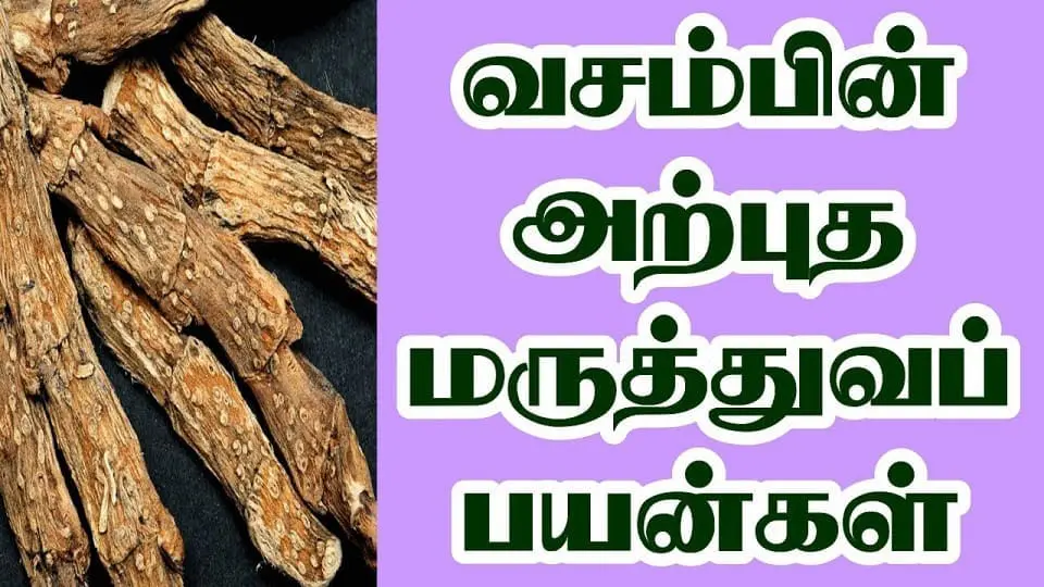 வசம்பின் அற்புத மருத்துவ பயன்கள்..!!