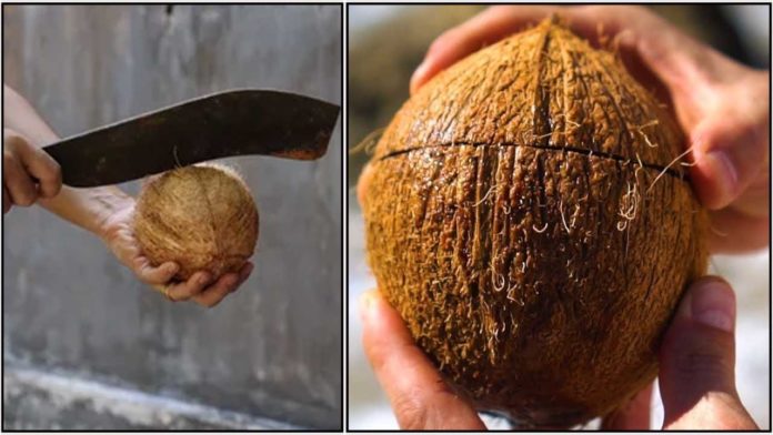 பெண்கள் ஏன் தேங்காய் உடைக்க கூடாது தெரியுமா?.. இதற்குப் பின்னால் இப்படியொரு காரணமா..!!