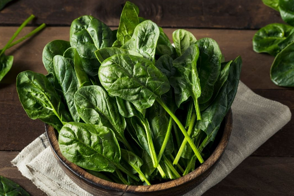 கீரைகளை கெட்டுப் போகாமல் பயன்படுத்த வேண்டுமா..!! உங்களுக்கான டிப்ஸ் இதோ..!!