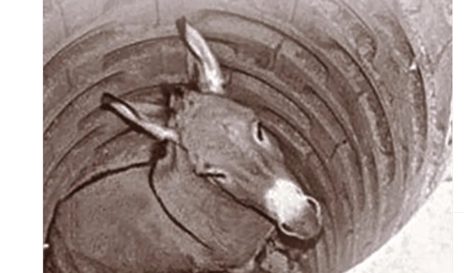 விடாமுயற்சி..!! அருமையான பதிவு..!!