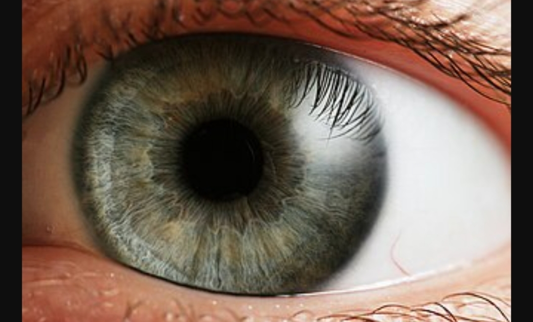 பார்வை மங்குதா..?? உங்கள் கண்கள் பேசும் ரகசியங்கள்..!! மறக்காம படிங்க..!!