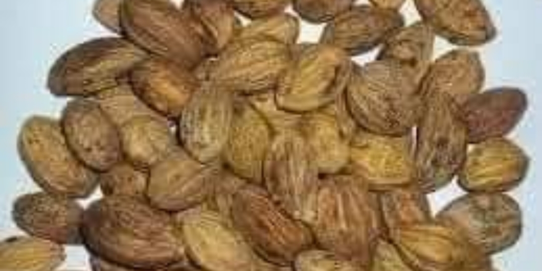 26 வகையான நோய்களுக்கு தீர்வளிக்கும் ஒரே மருந்து..!! இதுதான்..!! கண்டிப்பா தெரிஞ்சுக்கோங்க..!!