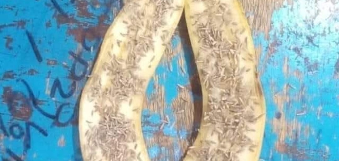 மூலநோய் முற்றிலும் குணமாக..!! இதை மட்டும் பண்ணுங்க போதும்..!!