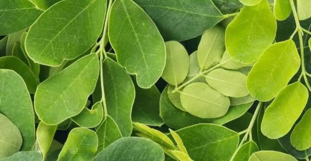 ஆண்மை குறைவு..!! கண்டிப்பாக அனைவரும் படிக்க வேண்டிய பதிவு..!!