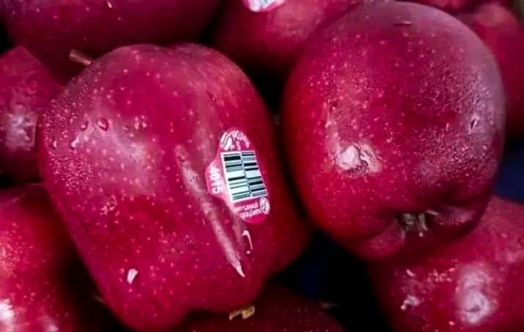 ஆப்பிள் மேல் ஒட்டி இருந்த sticker எதற்காக.. தெரியுமா..??