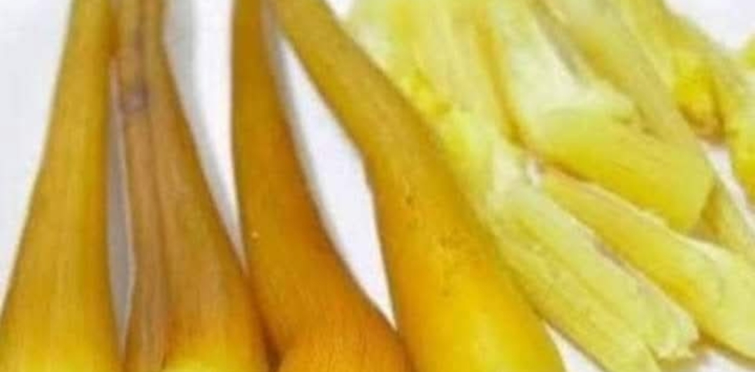 பனங்கிழங்கில் உள்ள மருத்துவம் பற்றி உங்களுக்கு தெரியுமா..??