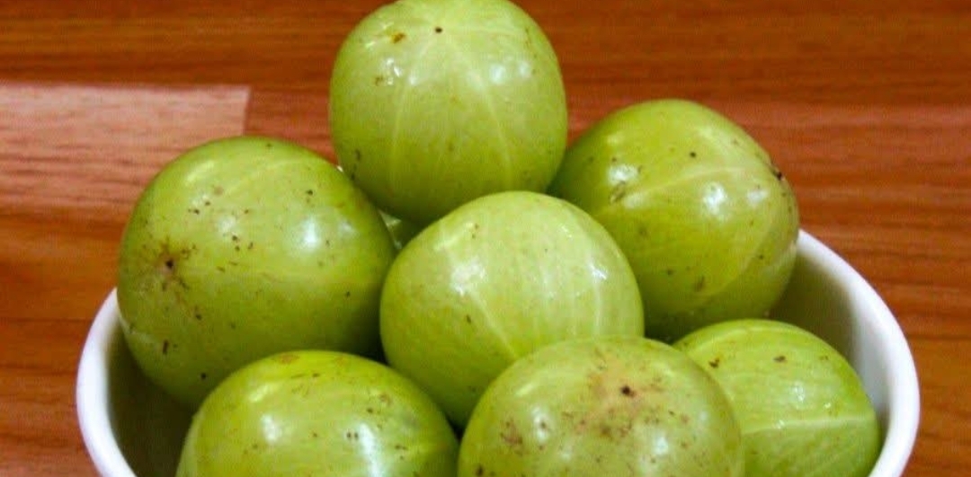 தினம் ஒரு நெல்லிக்காய் சாப்பிடுவதால் என்ன பயன்கள் தெரியுமா..??