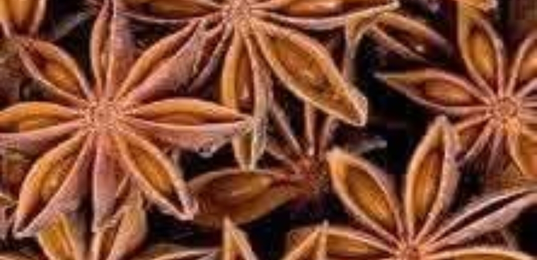 ஆச்சரியப்படவைக்கும் அன்னாசிப்பூவின் அதிசய சக்தி..!!