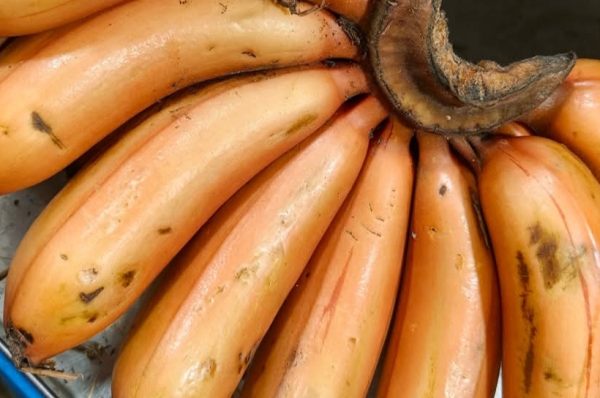 செவ்வாழையை வெறும் வயிற்றில் சாப்பிடலாமா..???