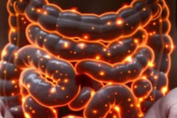 கோடை காலத்தில் குடலை ஆரோக்கியமாக வைத்திருக்க உதவும் 5 எளிய வழிகள்..!!