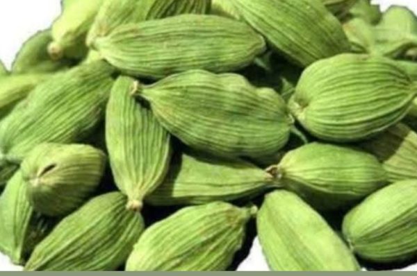 தேவர்கள் சொன்ன இரகசிய மருந்து..!! கண்டிப்பா தெரிஞ்சுக்கோங்க..!!