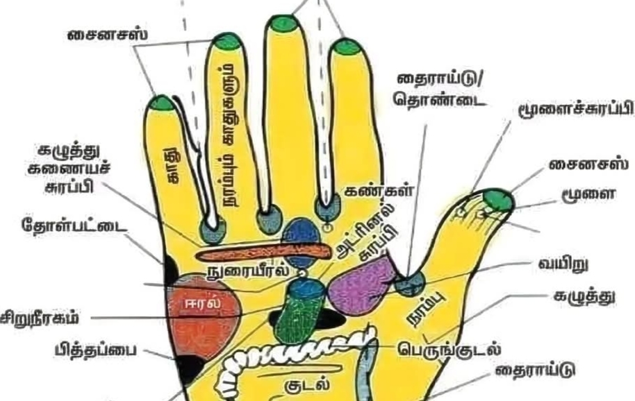 தினமும் 20 நிமிடங்கள் கை தட்டுங்கள்..!! இதனால் கிடைக்கும் பலன்கள் ஏராளம்..!!