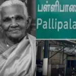மூதாட்டி உயிரிழப்பு.. நகைக்காக நடந்த கொடூர சம்பவம் அதிர்ச்சி..!!