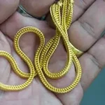 பள்ளி வளாகத்தில் ஆசிரியை மீது துணிகரம்.. 16 சவரன் தாலிச் செயின் பறிப்பு..!!